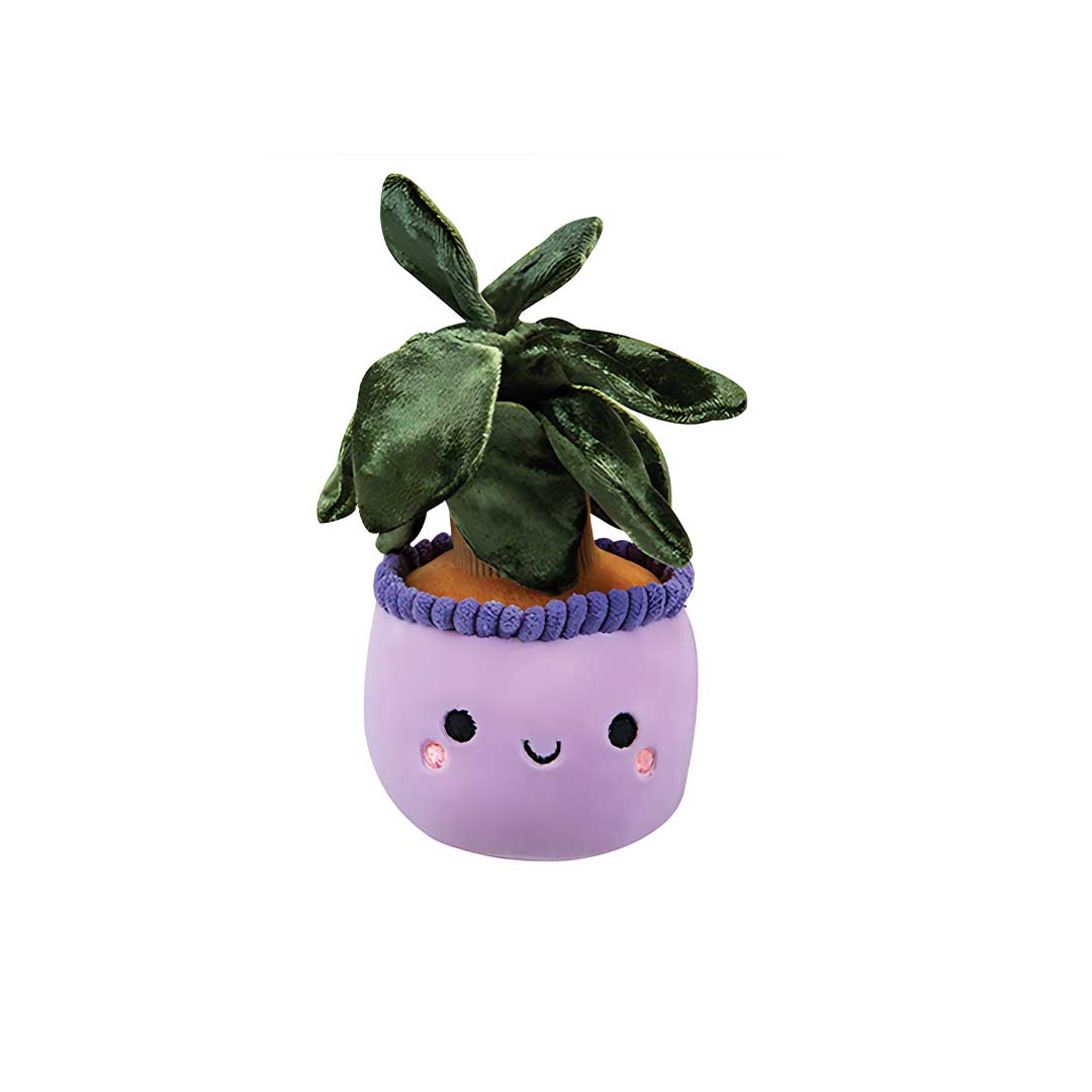 PELUCHE PIANTA GRASSA KAWAII