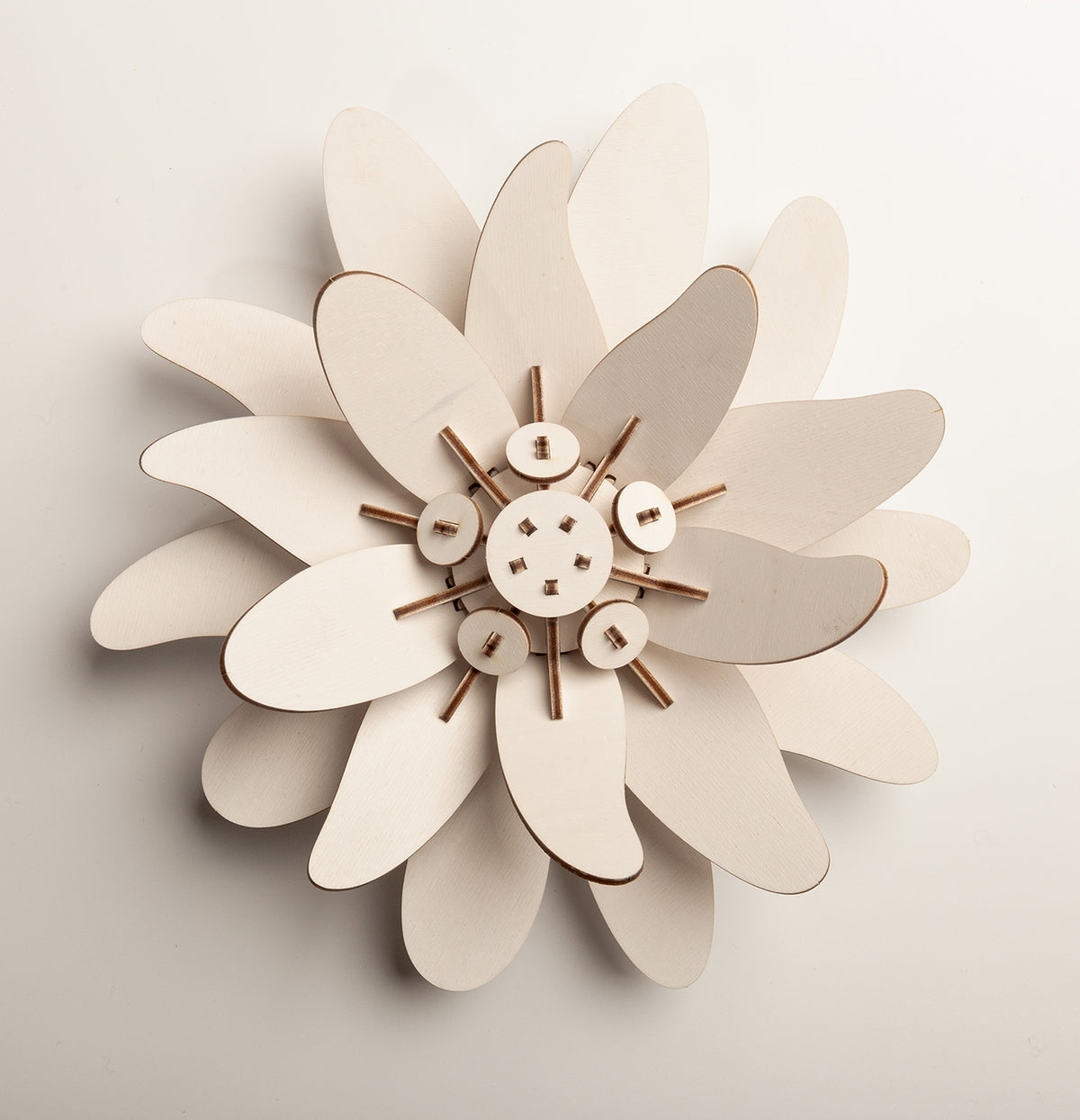 SCULTURA DECORATIVA 3D STELLA ALPINA