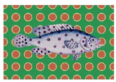 TOVAGLIETTA "SAPORE DI SALE"