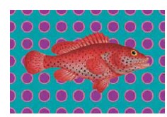 TOVAGLIETTA "SAPORE DI SALE"