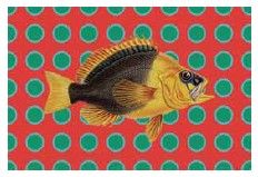 TOVAGLIETTA "SAPORE DI SALE"