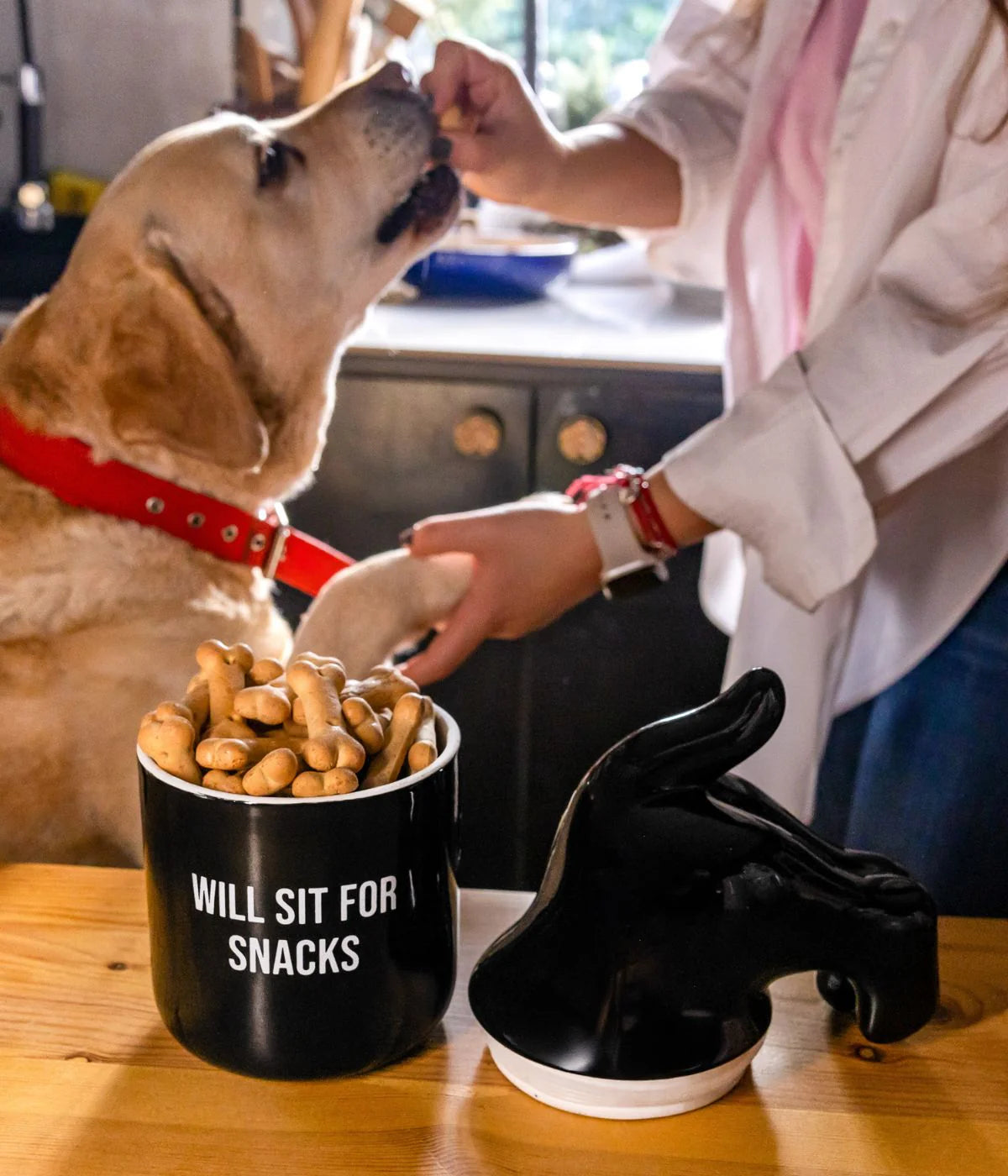CONTENITORE PER SNACK CANI