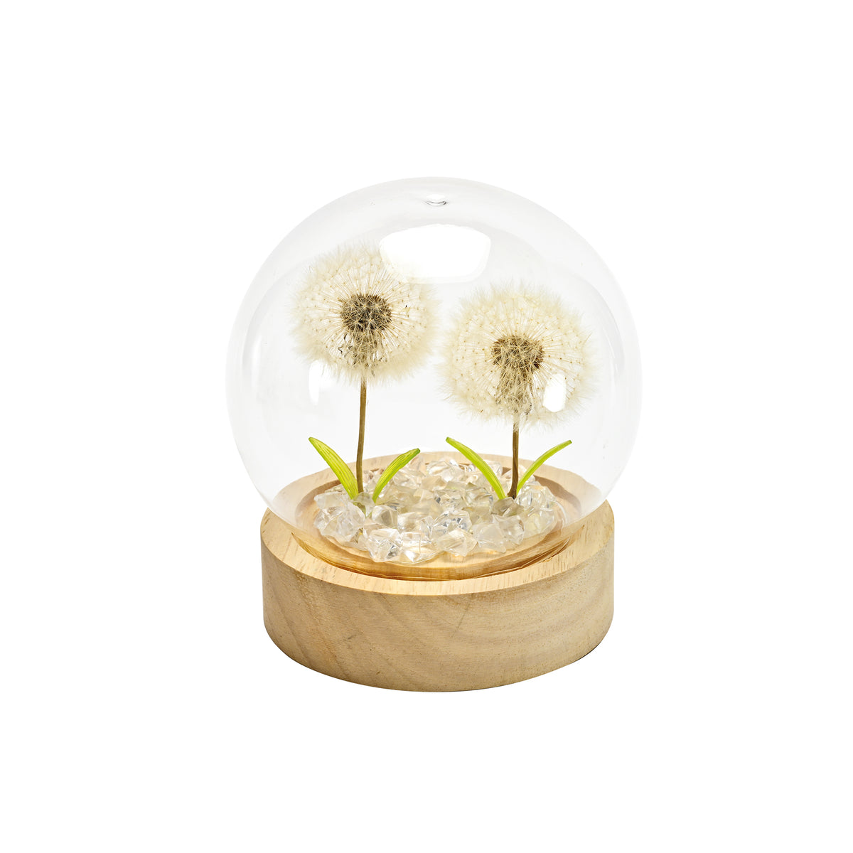 CLOCHE IN VETRO CON SOFFIONI VERI STABILIZZATI E LED
