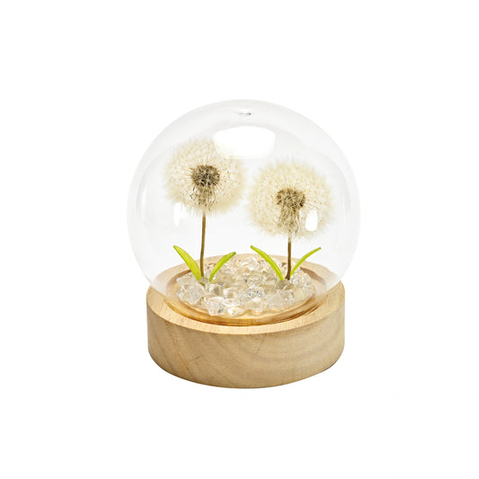CLOCHE IN VETRO CON SOFFIONI VERI STABILIZZATI E LED