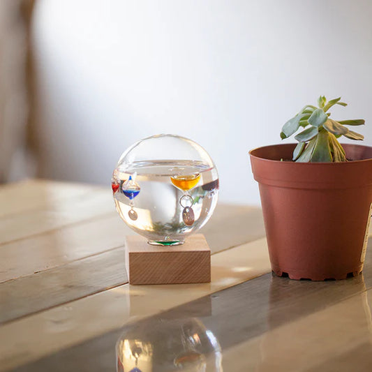 TERMOMETRO DI GALILEO