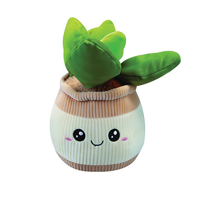 PELUCHE PIANTA GRASSA KAWAII