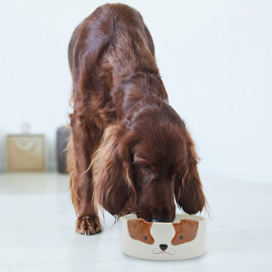 CIOTOLA PER CANI CON DECORO