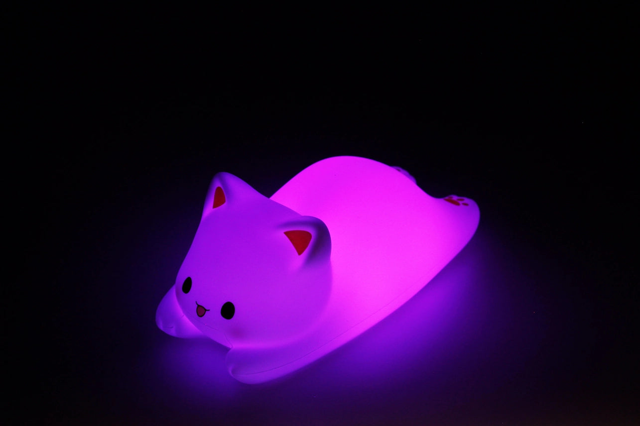 LUCE NOTTURNA GATTINO