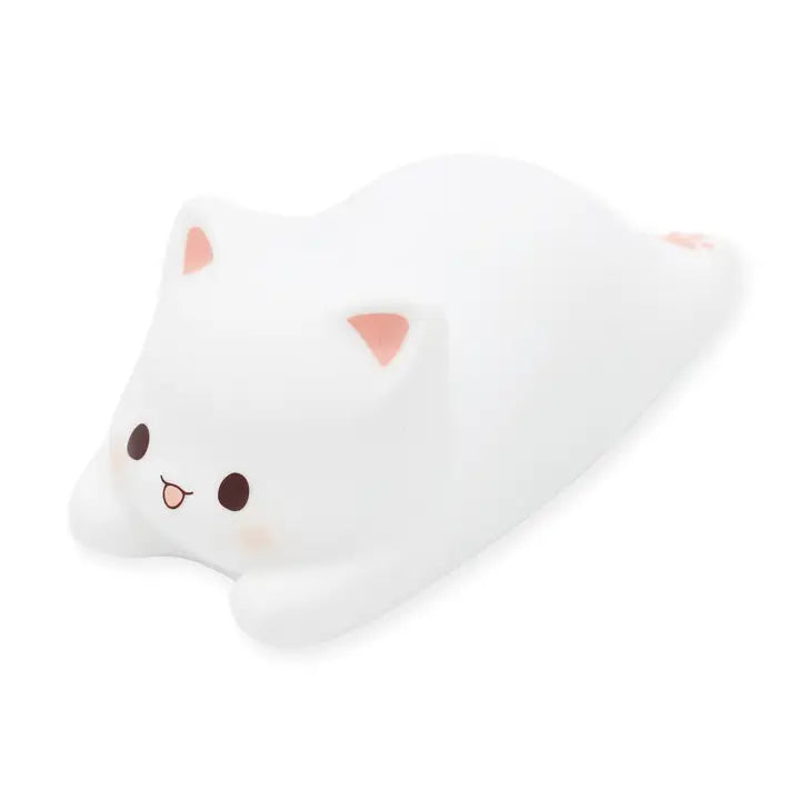 LUCE NOTTURNA GATTINO